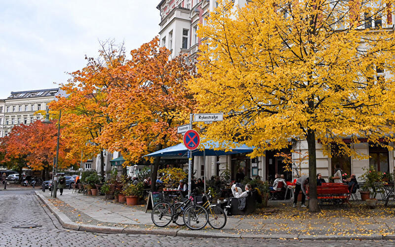 Skyline International Group