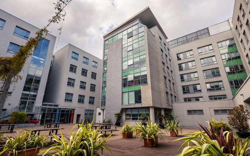 Skyline International Group